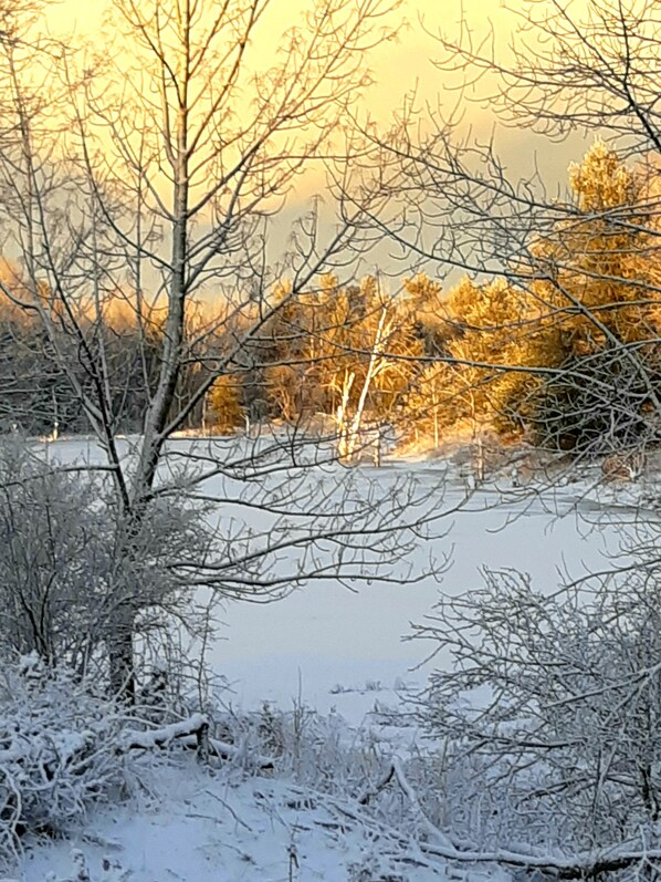 A winter landscape with bare trees and a frozen body of water. - Le Temps Perdu: 88 Acre Wilderness Park between Historic Westport and Perth (Westport)