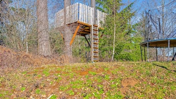 Escape to a serene forest setting, where a rustic structure invites exploration and connection with nature.