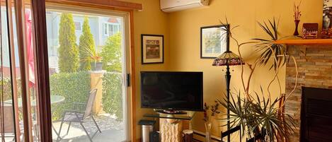 A living room with a TV, sofa, and plants.