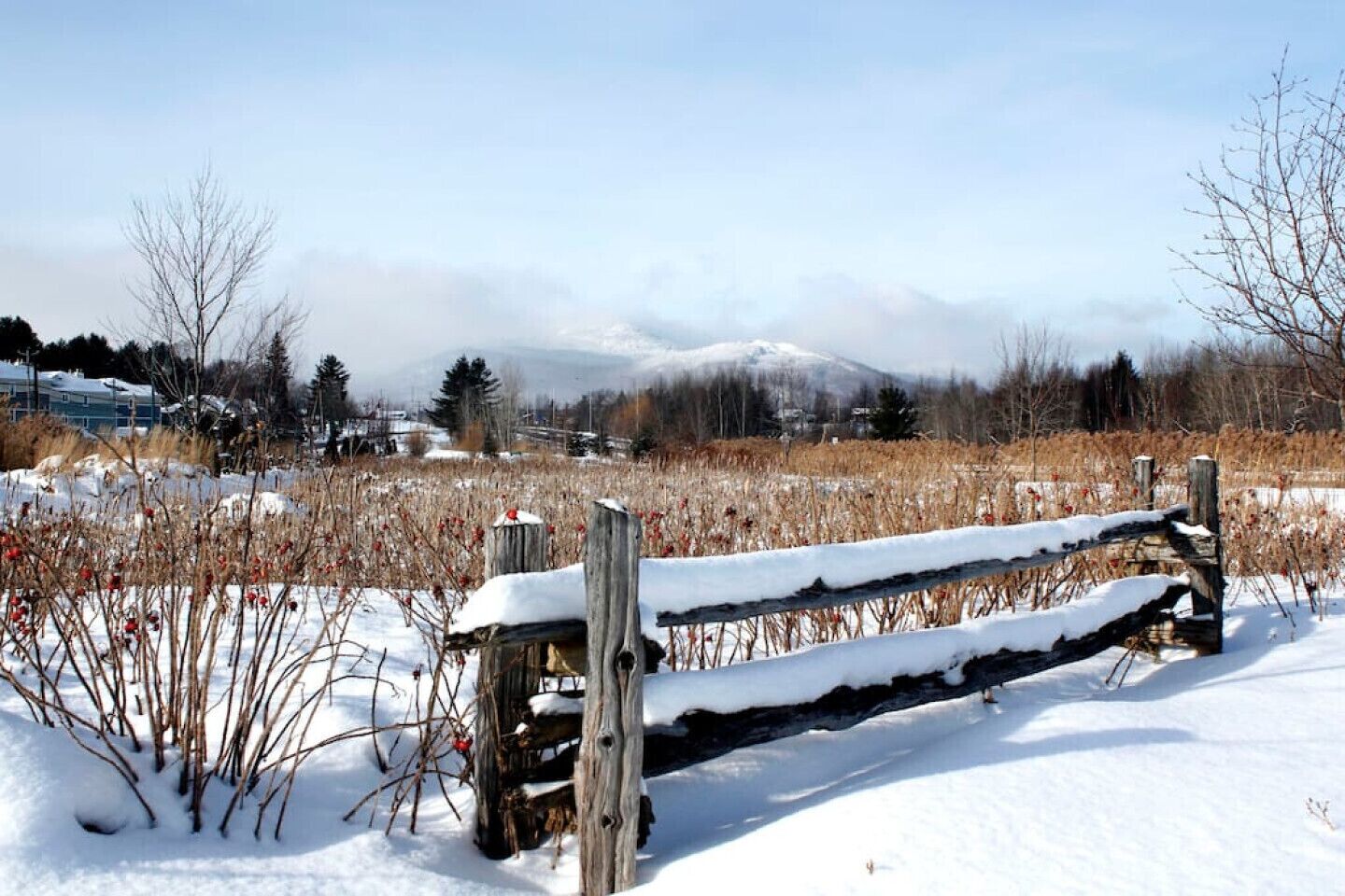 A wooden bench in a snowy field with a mountain in the background.