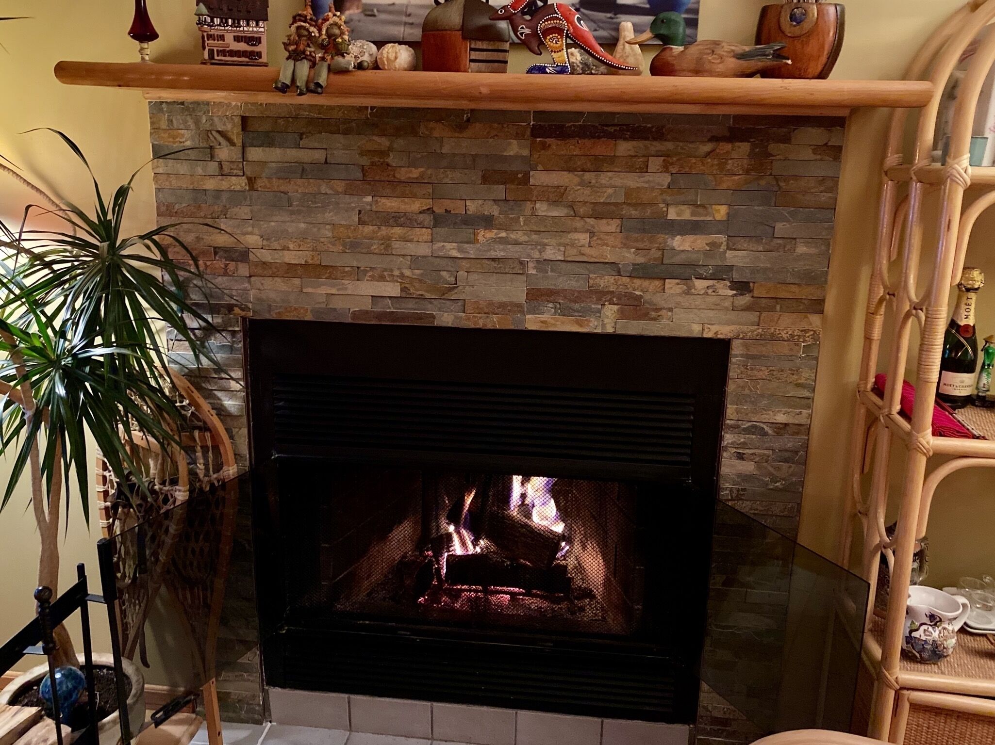 Una chimenea con repisa de piedra, una planta en maceta y un estante de madera con adornos.
