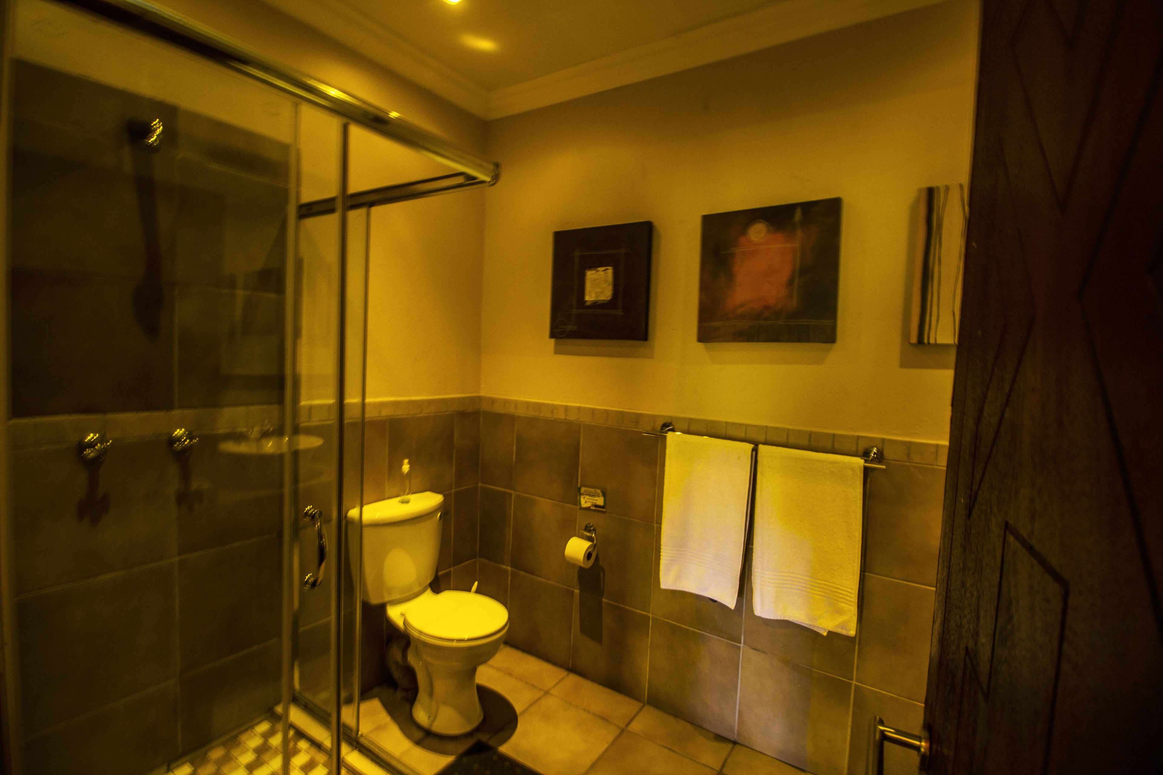 A bathroom with a glass shower enclosure, a toilet, and two framed artworks on the wall.