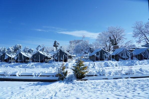 View from property - Jungle Livinn (Shimla)