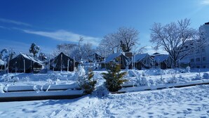 Un vecindario con casas y árboles cubiertos de nieve.