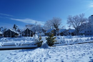 View from property - Jungle Livinn (Shimla)