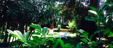 Overnatningsstedets område