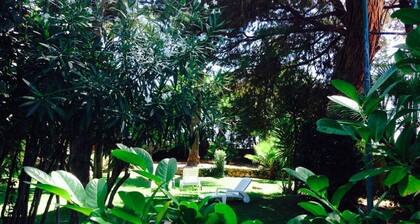 Studio meren rannalla, puistossa ja uima-altaalla