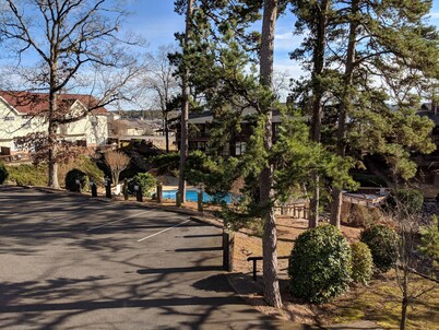 Charming, Conveniently Located Hot Springs Condo