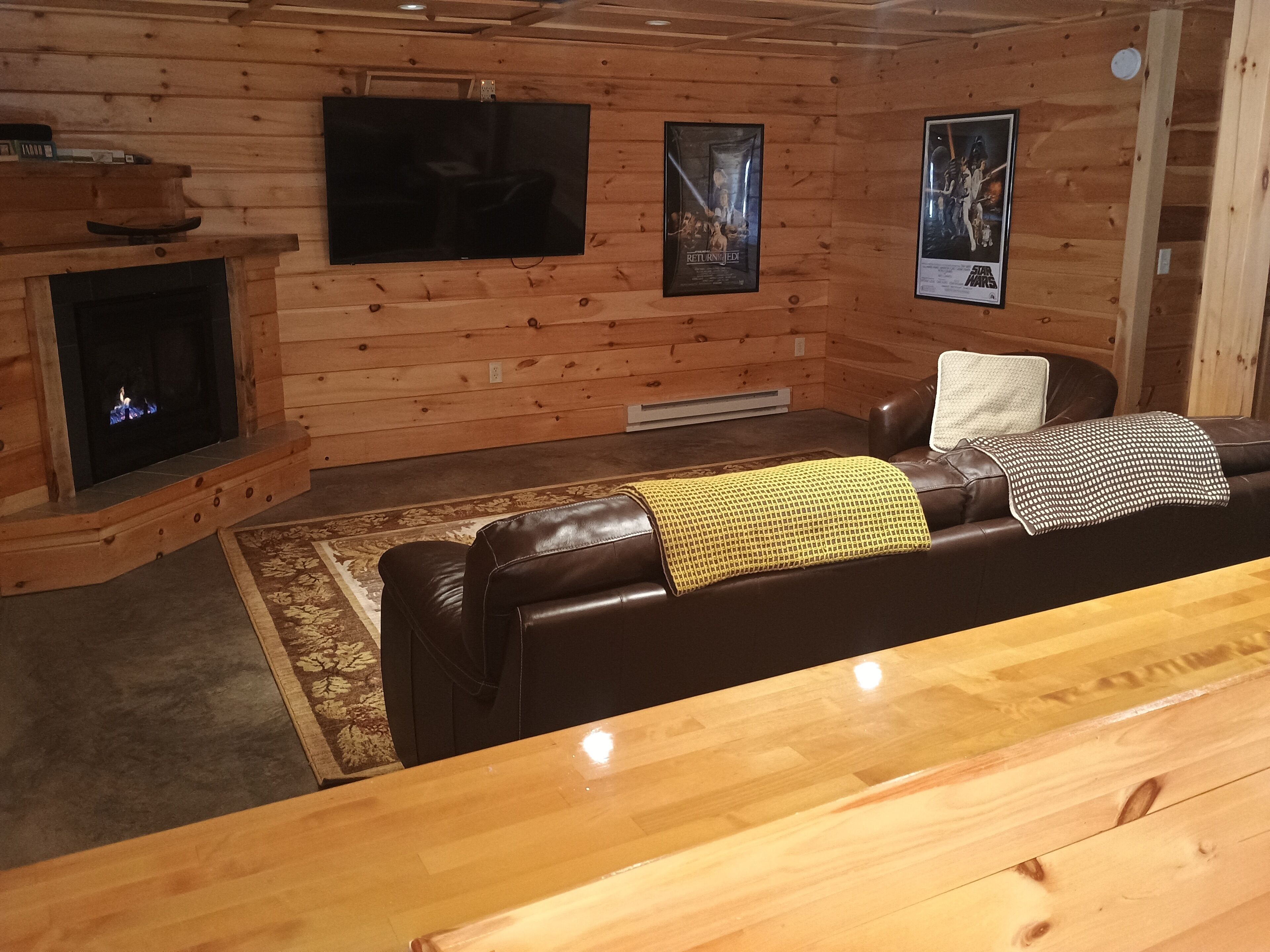 TV / family room (level 1)