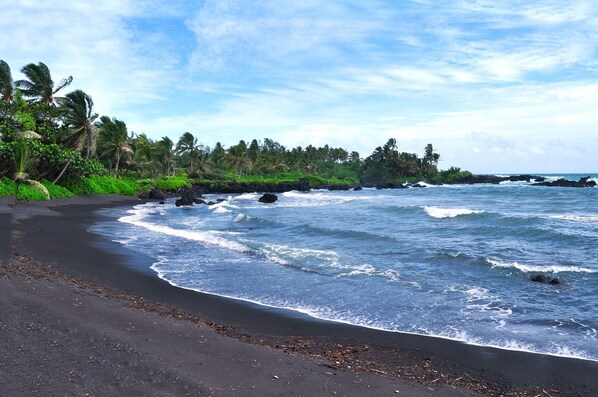 Una playa con arena oscura, olas y una hilera de palmeras.