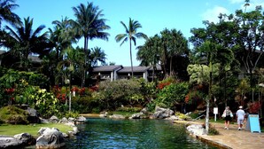 Un resort tropical con una piscina cristalina rodeada de abundante vegetación y palmeras.