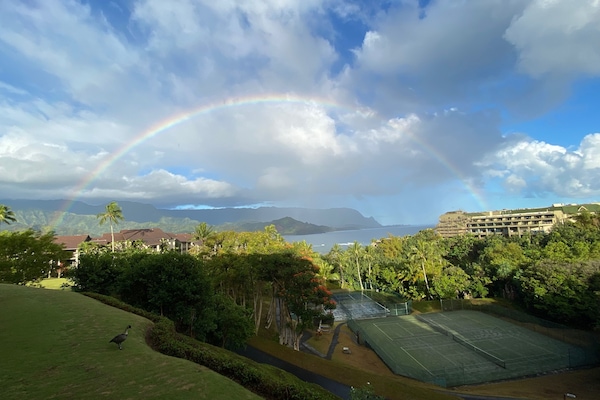Rainbow view from the lanai