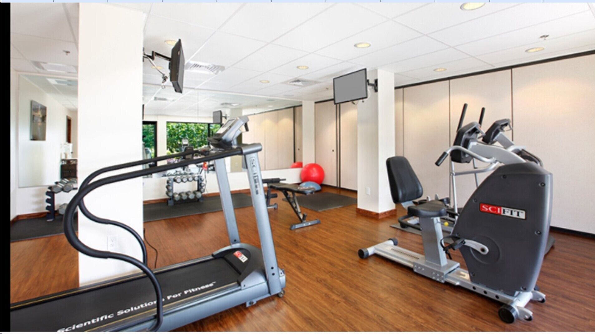 Een moderne sportschool met cardioapparatuur, krachtapparaten en een spiegelwand.