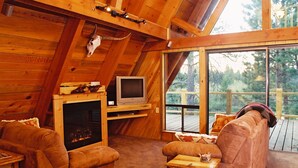 Smart TV, fireplace, books, video library