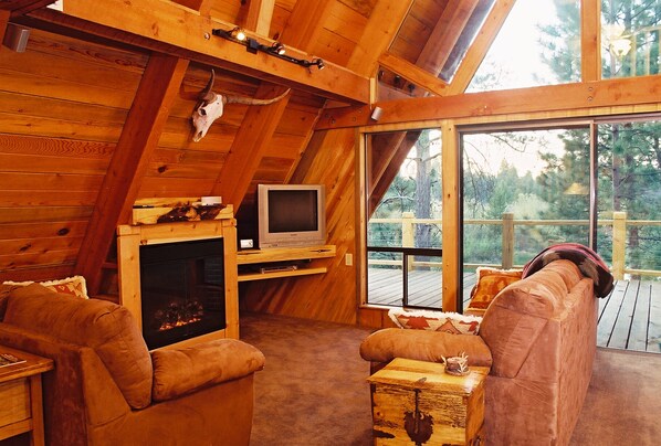 Smart TV, fireplace, books, video library