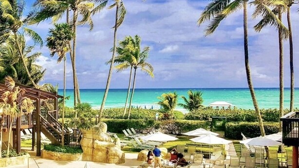 A resort pool area with palm trees, lounge chairs, and a view of the ocean.