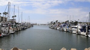 A marina with boats docked along the water, surrounded by greenery and palm trees.