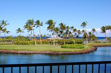 100% Ocean View folks