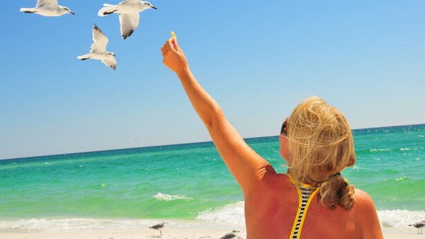 Eine Person am Strand, Möwen fliegen vorbei.