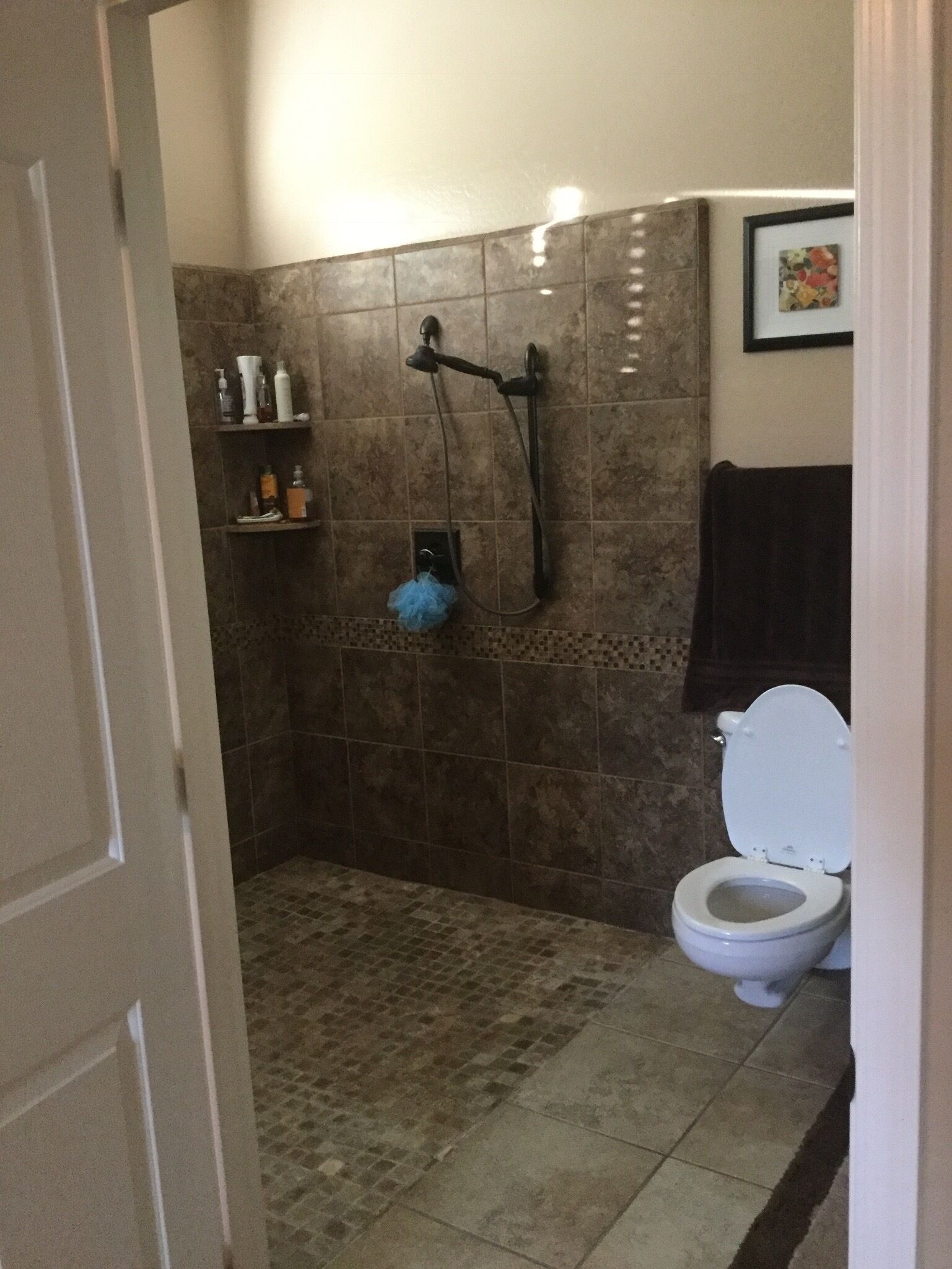 Wheelchair accessible shower off bedroom.