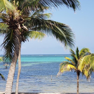 Oceanfront 2/2 condo