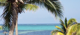 Oceanfront 2/2 condo