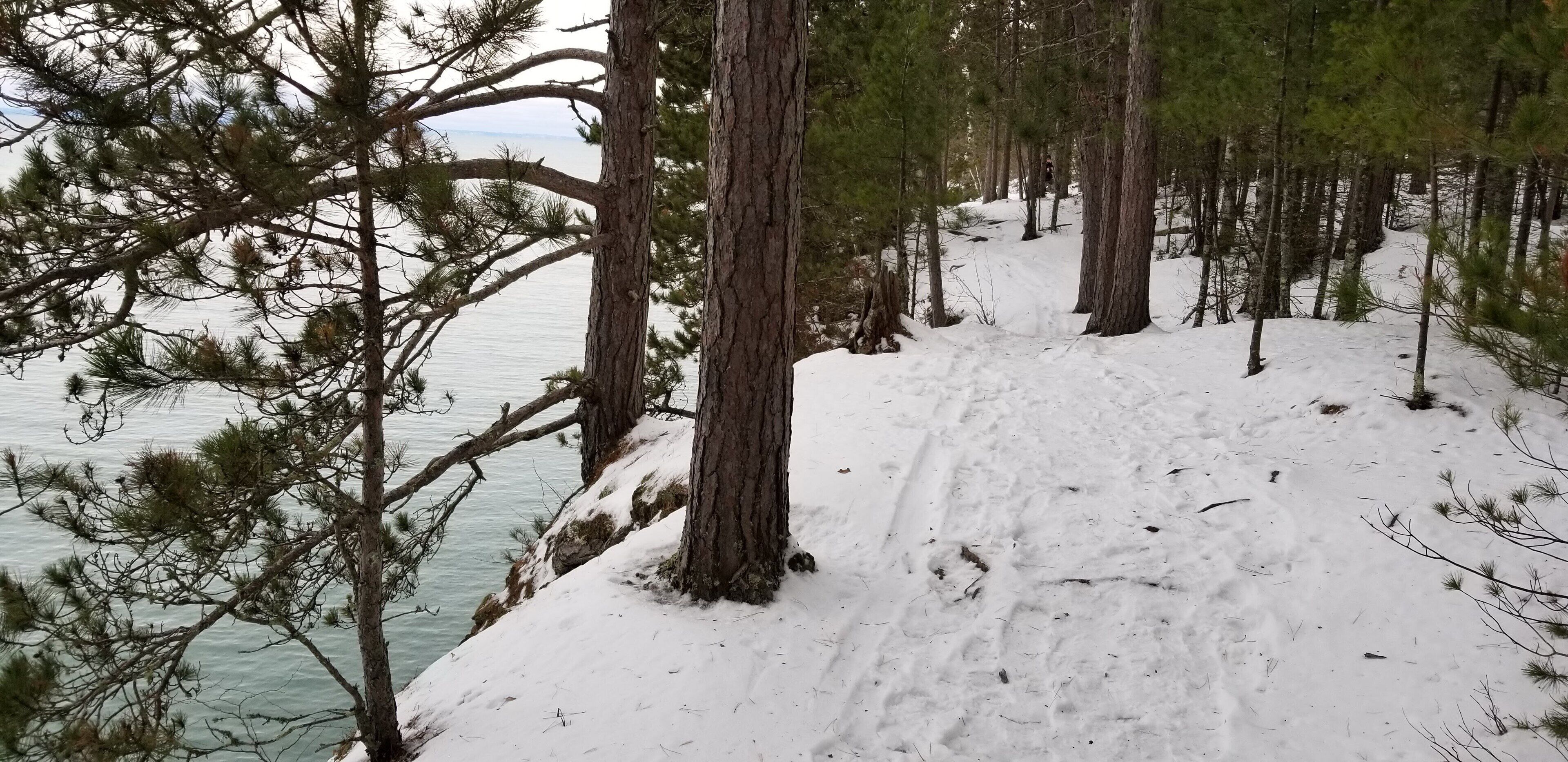 A snowy forested area with a clear view of a lake.
