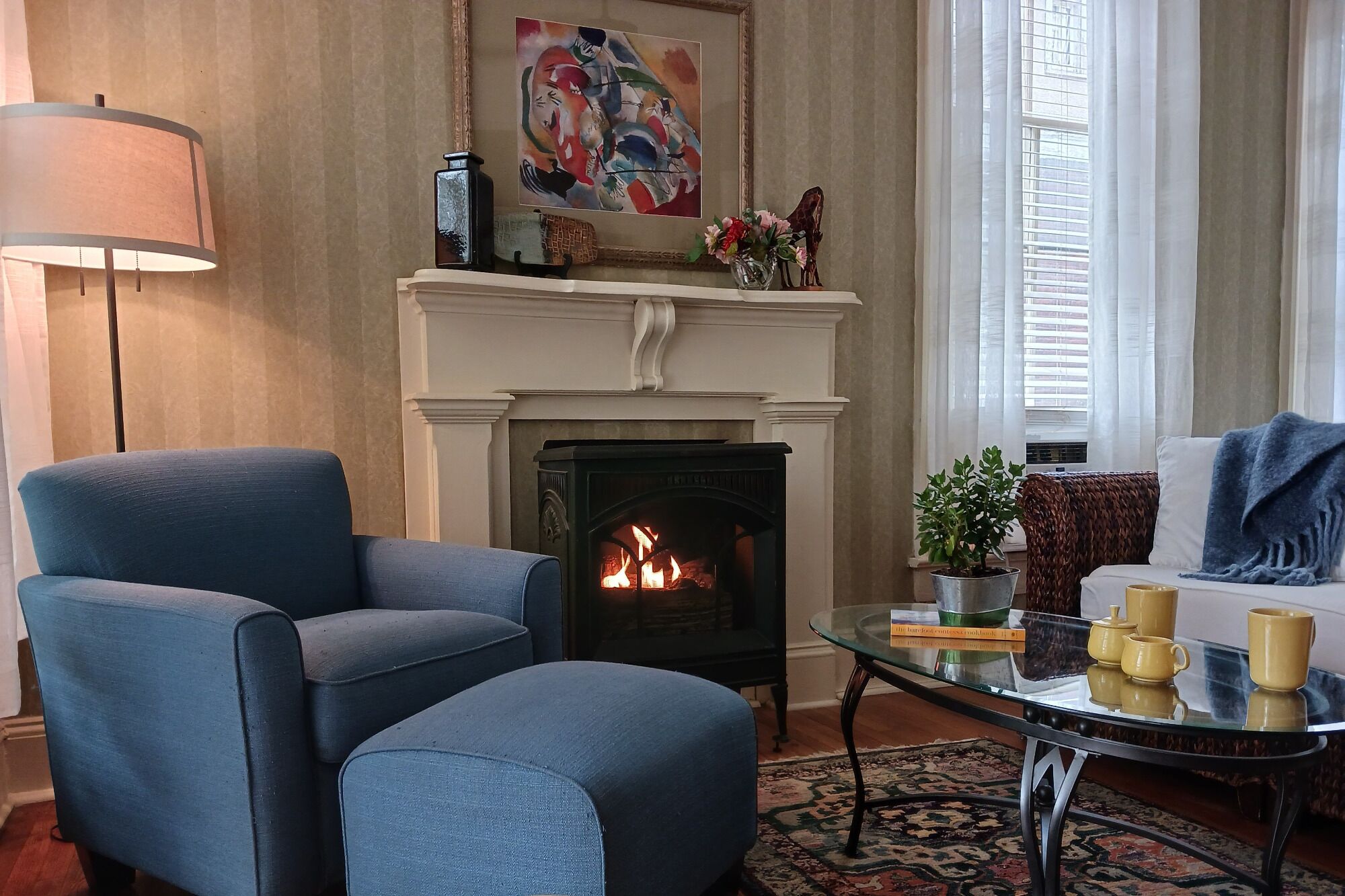 TV, fireplace, books