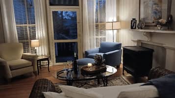 TV, fireplace, books