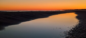 Cozy Dog-Friendly Inlet Cove Cottage for Your Perfect Getaway