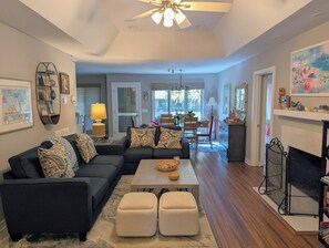 TV, DVD player, books, video library
