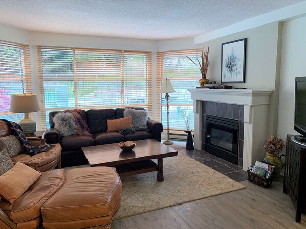 TV, fireplace, DVD player