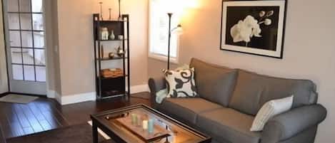 تلفزيون ذكي، مدفأة، مشغل دي في دي