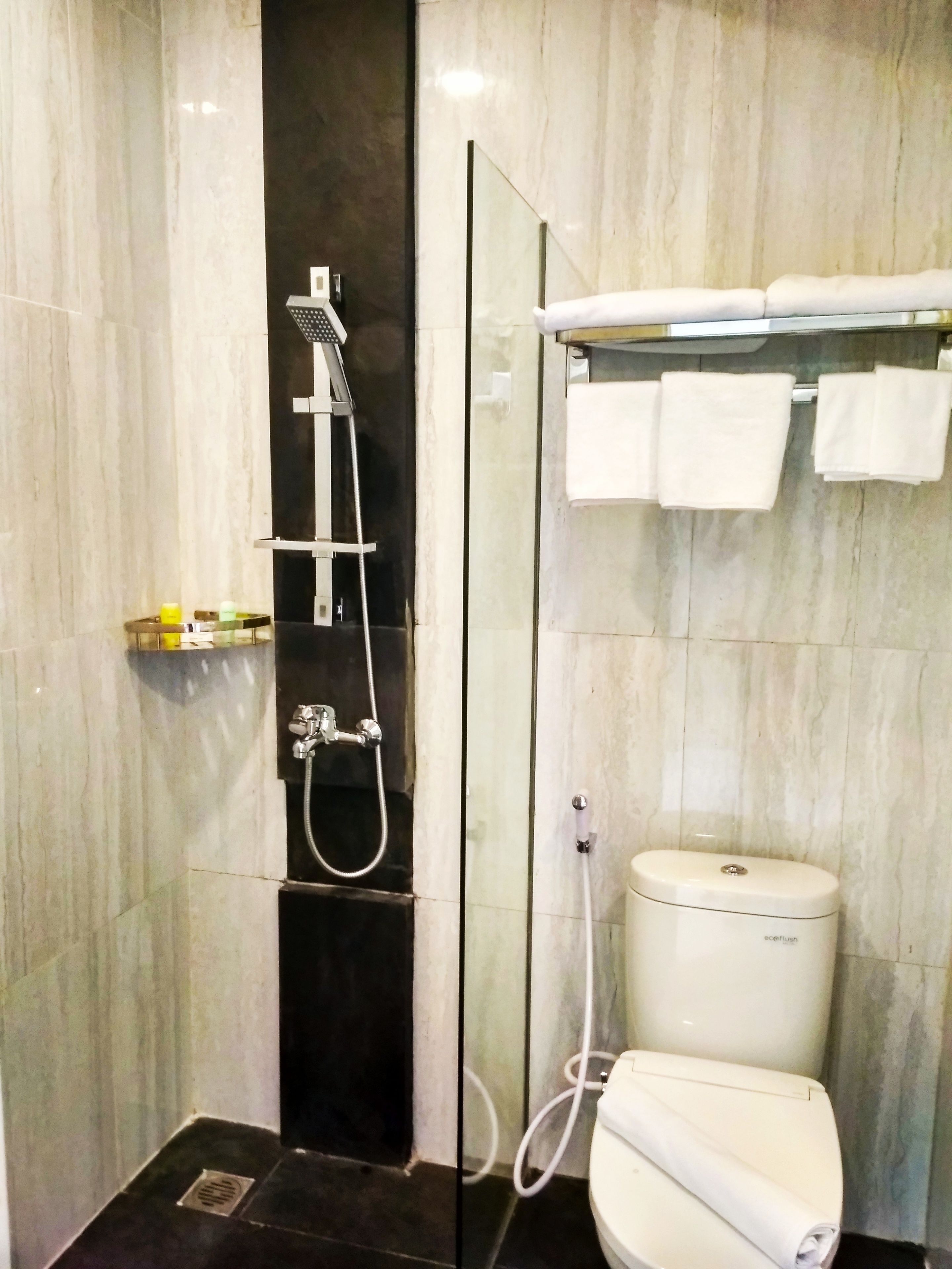 A modern bathroom with a glass-enclosed shower, a toilet, and a towel rack.