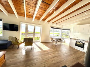 Smart TV, fireplace, books