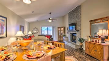 TV, fireplace, books