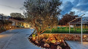 A landscaped garden with a curved pathway, a stone wall, and a large tree.