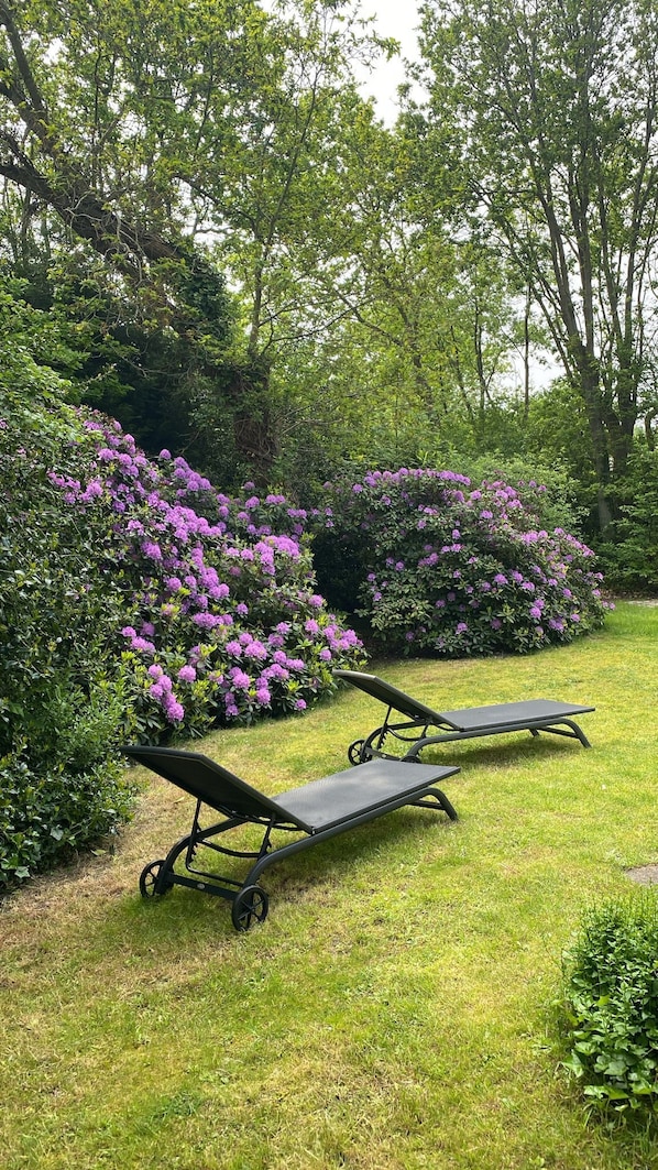 Two black garden loungers on a grassy lawn with purple flowers and dense green foliage in the background. - Charming vacation home on the quiet outskirts of the village (Ouddorp)