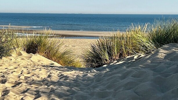 Een zanderig strand met duinen en grassen op de voorgrond, dat uitloopt in de oceaan.