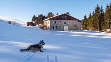Ulkopuoli