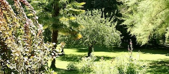 Homerez - Charming Villa with garden in Sarlat-la-Canéda