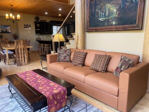 Smart TV, fireplace, books, music library