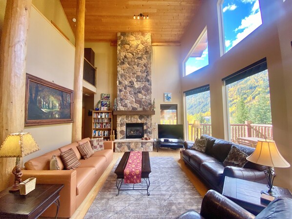 Smart TV, fireplace, books, music library