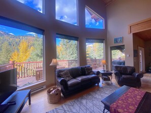 Smart TV, fireplace, books, music library