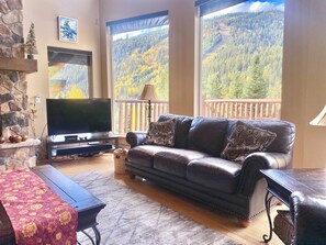 Smart TV, fireplace, books, music library