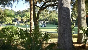 A golf course with trees and palm plants in the foreground. - Spacious Villa Lovely golf course view Free Tennis-PB! 20% Aug 29! (Hilton Head Island)