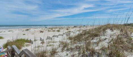 بالقرب من الشاطئ