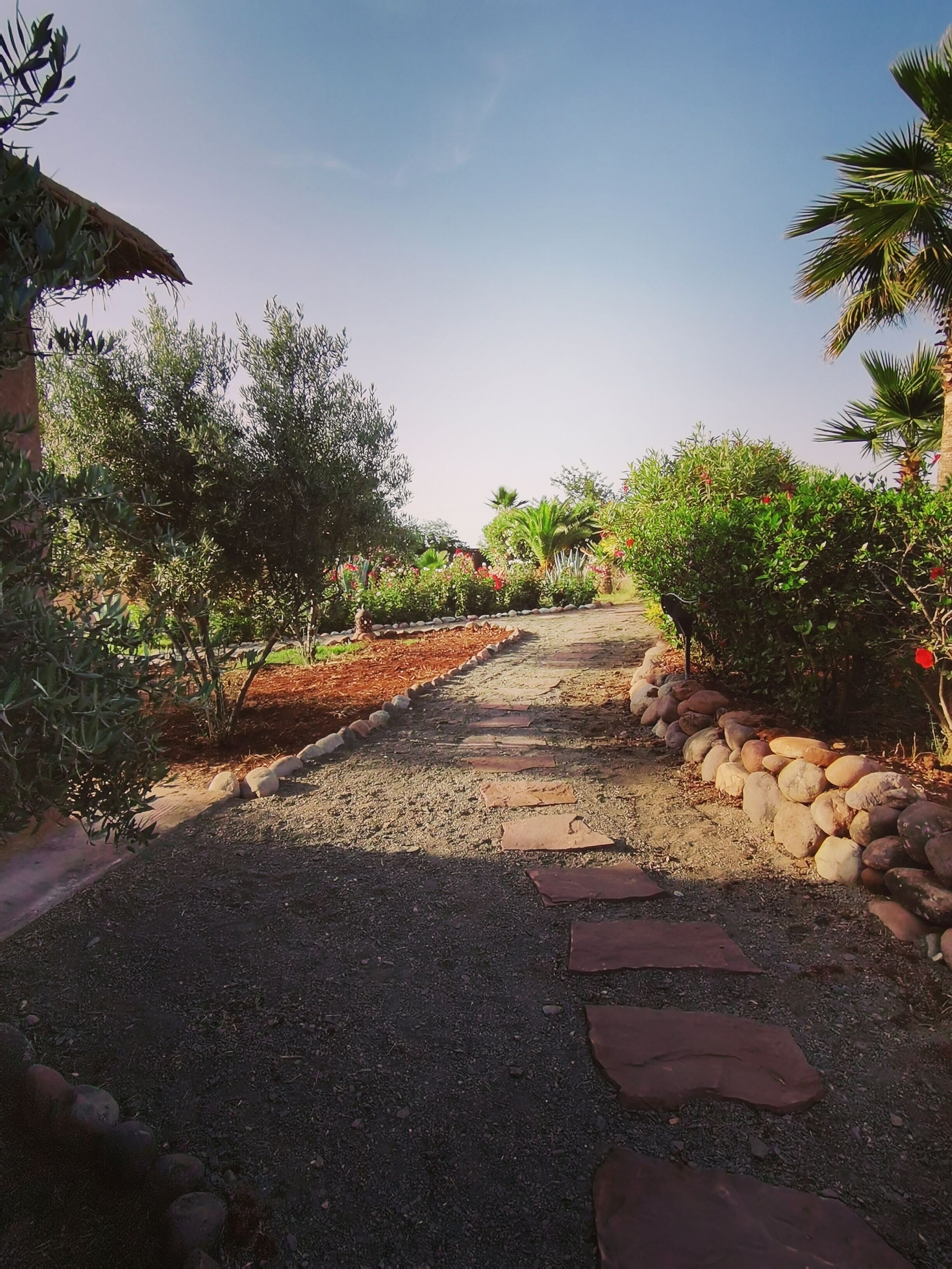 Un chemin de gravier bordé de verdure et d’un mur de pierres.