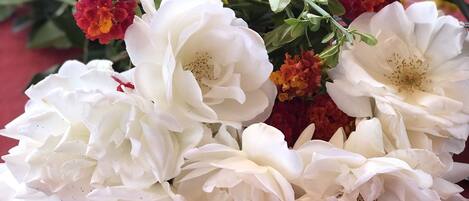 Um arranjo de flores brancas com detalhes em vermelho e amarelo, apoiado sobre uma superfície de tecido vermelho.