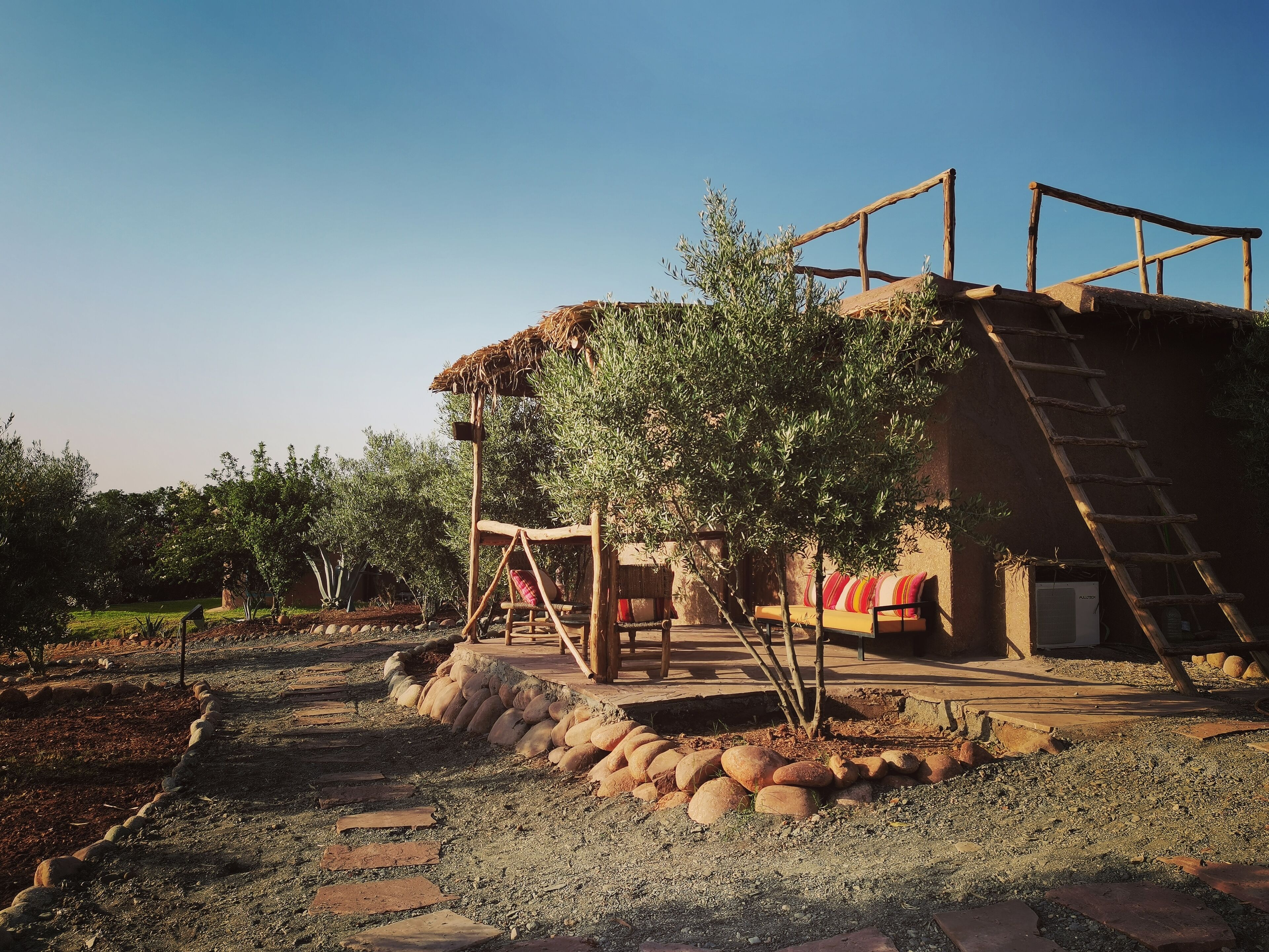 Un espacio de estar al aire libre de estilo rústico con un banco de madera y una escalera, rodeado de olivos y un sendero de piedra.